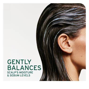 Scalp Sync Calming Shampoo - Biolage Renovation NZ | L'Oréal Partner Shop